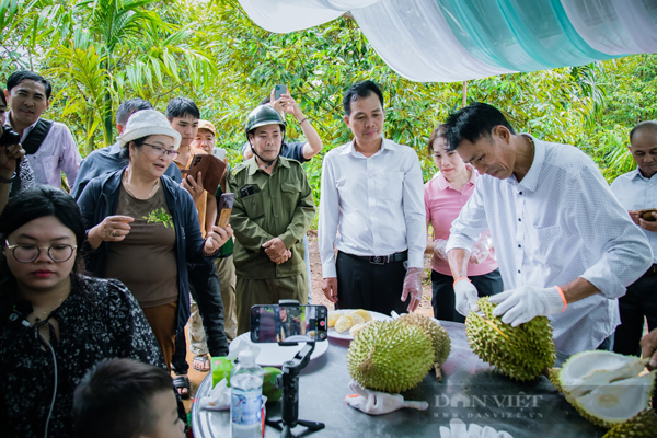 Nong-dan-huyen-Krong-Pac-huong-dan-bo-sau-rieng-nhanh-va-dung-cach