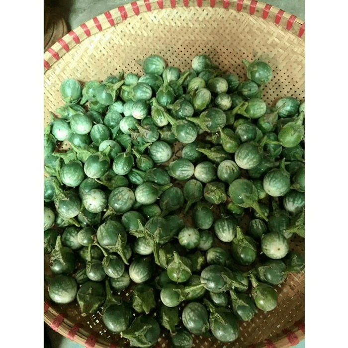 Cà đắng là nguyên liệu chính trong nhiều món ăn.@Sưu tầm