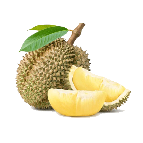 Sầu riêng Krông Pắc