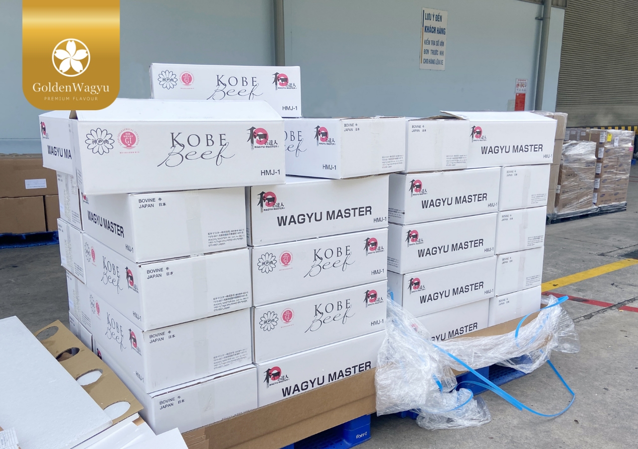 Bò Kobe của Golden Wagyu bán buôn, bán sỉ