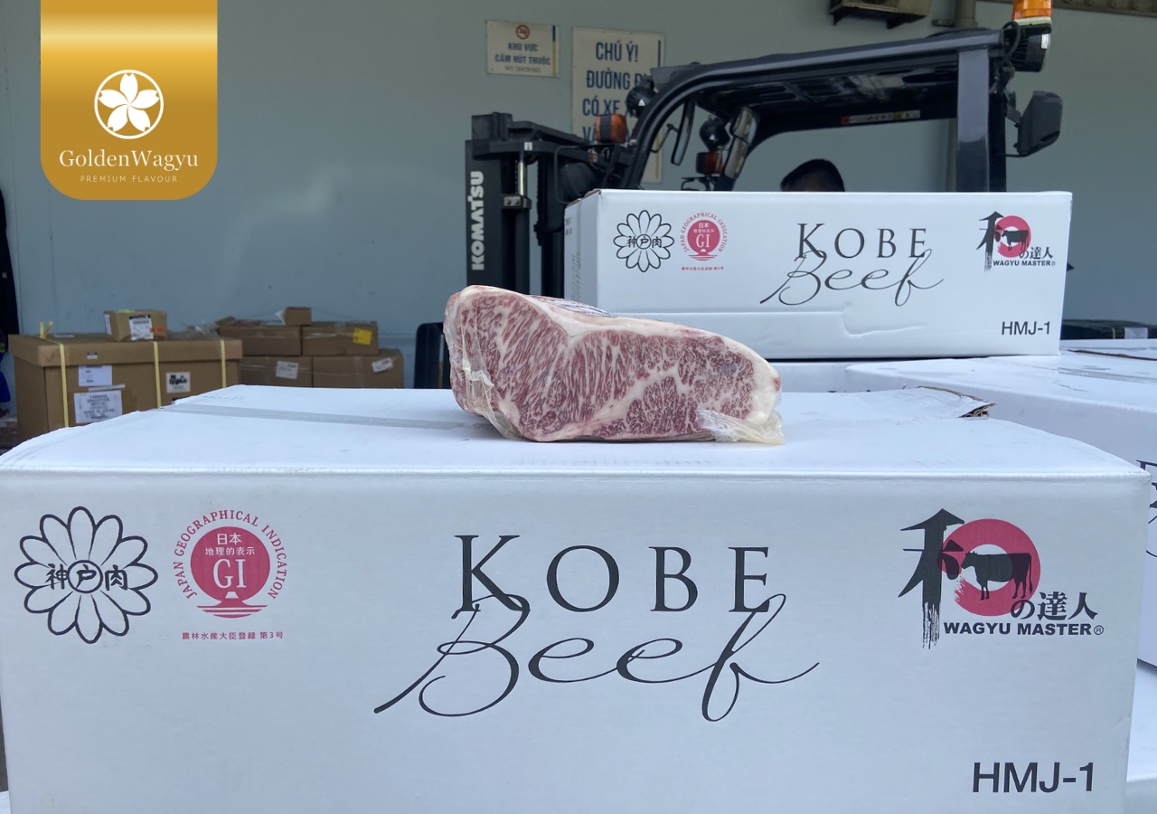 Đại lý phân phổi hiệp hội Kobe Nhật Bản