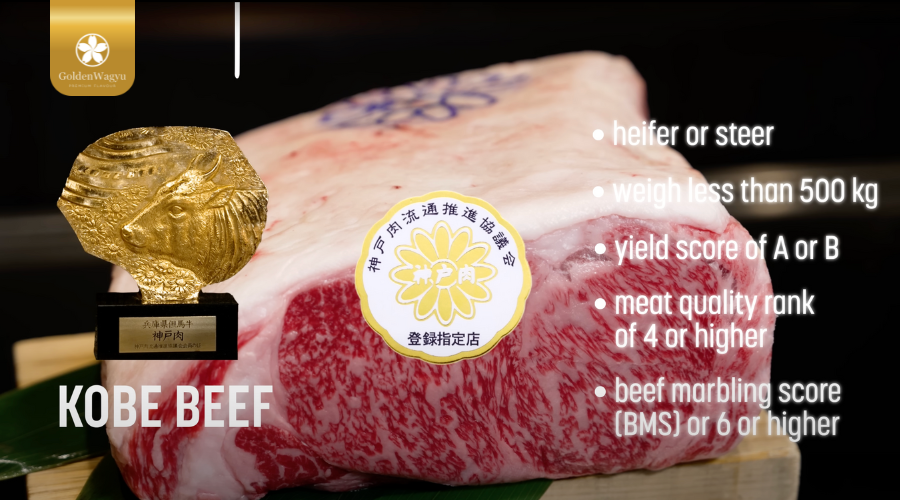 Bò Kobe là Vua của các loại Wagyu