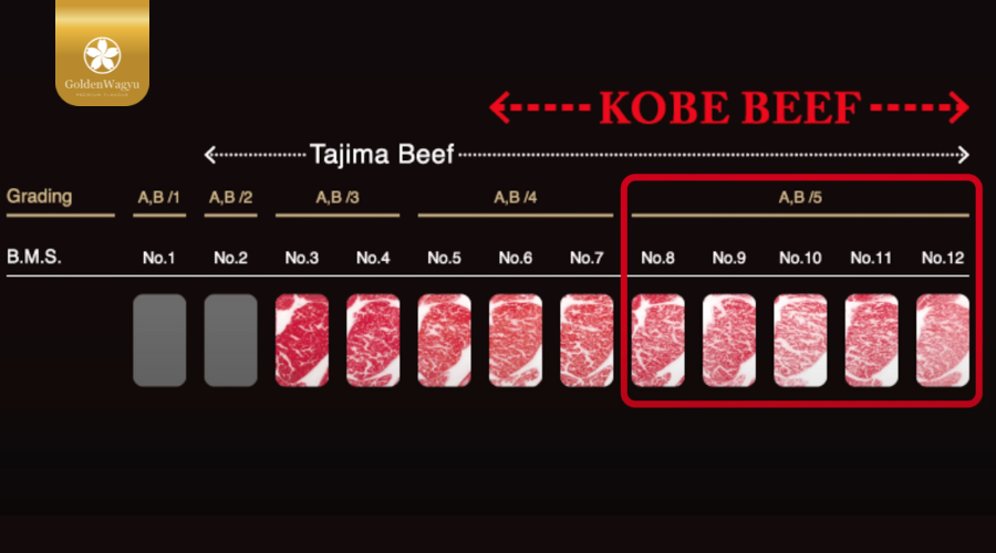 Tiêu chuẩn bò Kobe