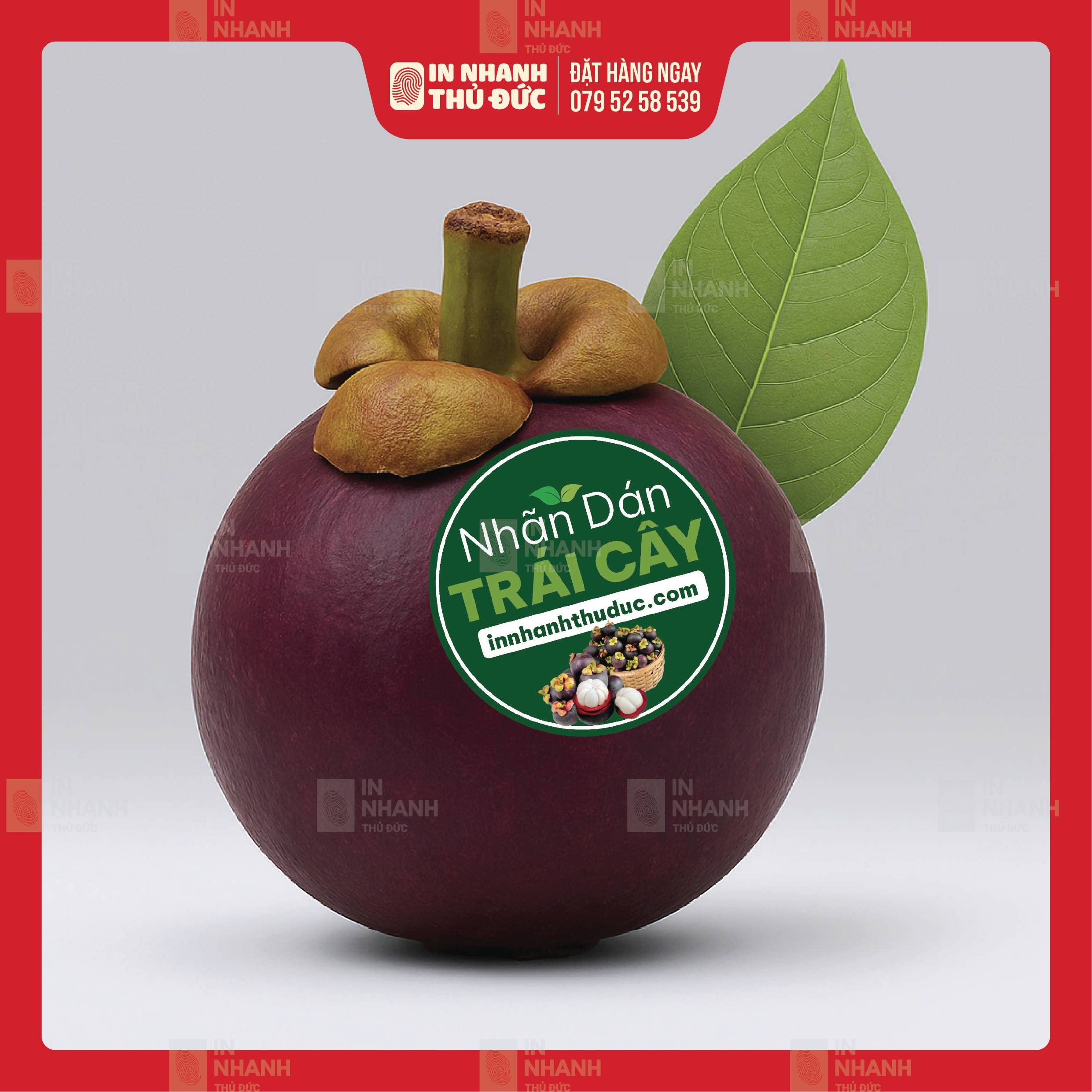 In Tem Nhãn - In Nhanh Thủ Đức