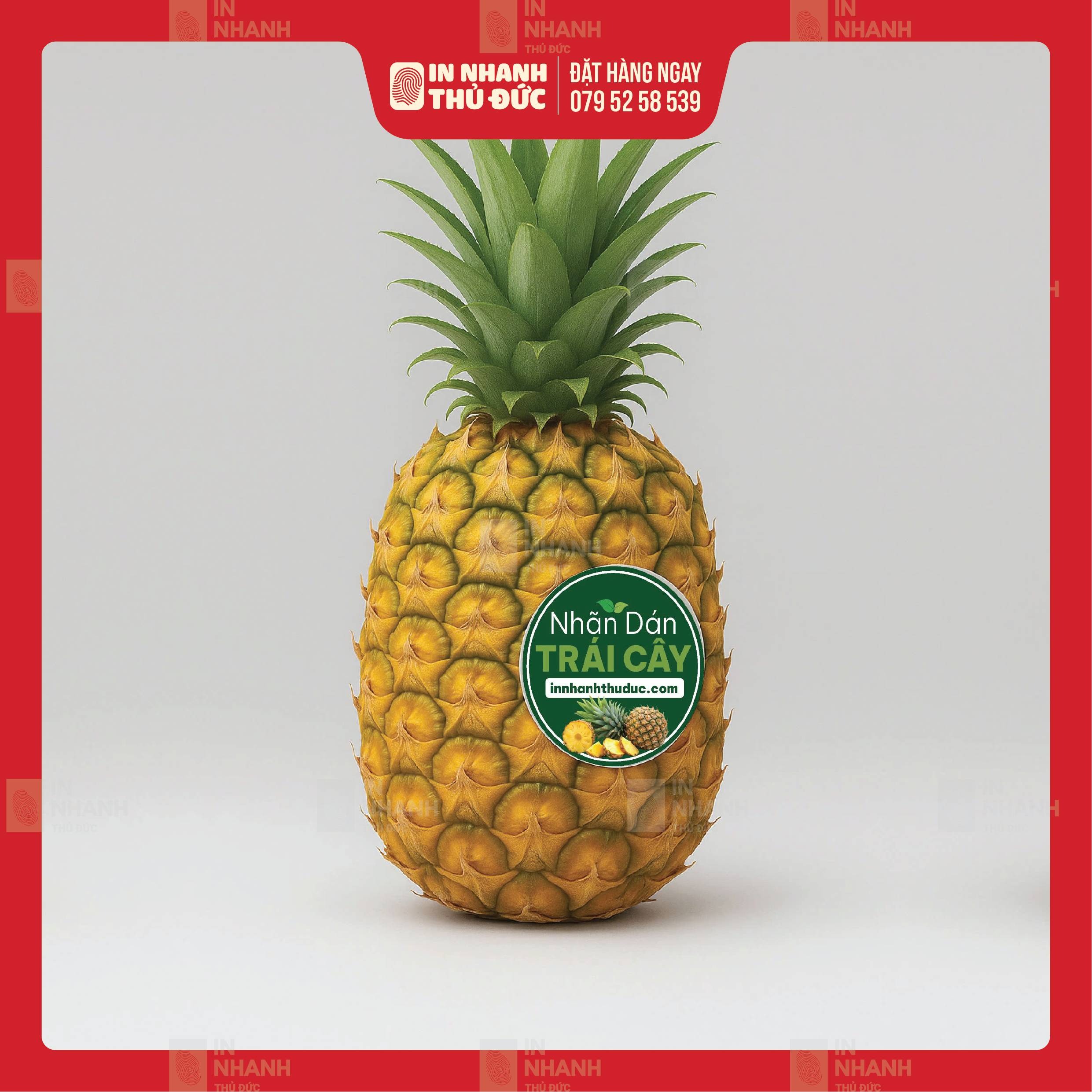 In Tem Nhãn - In Nhanh Thủ Đức