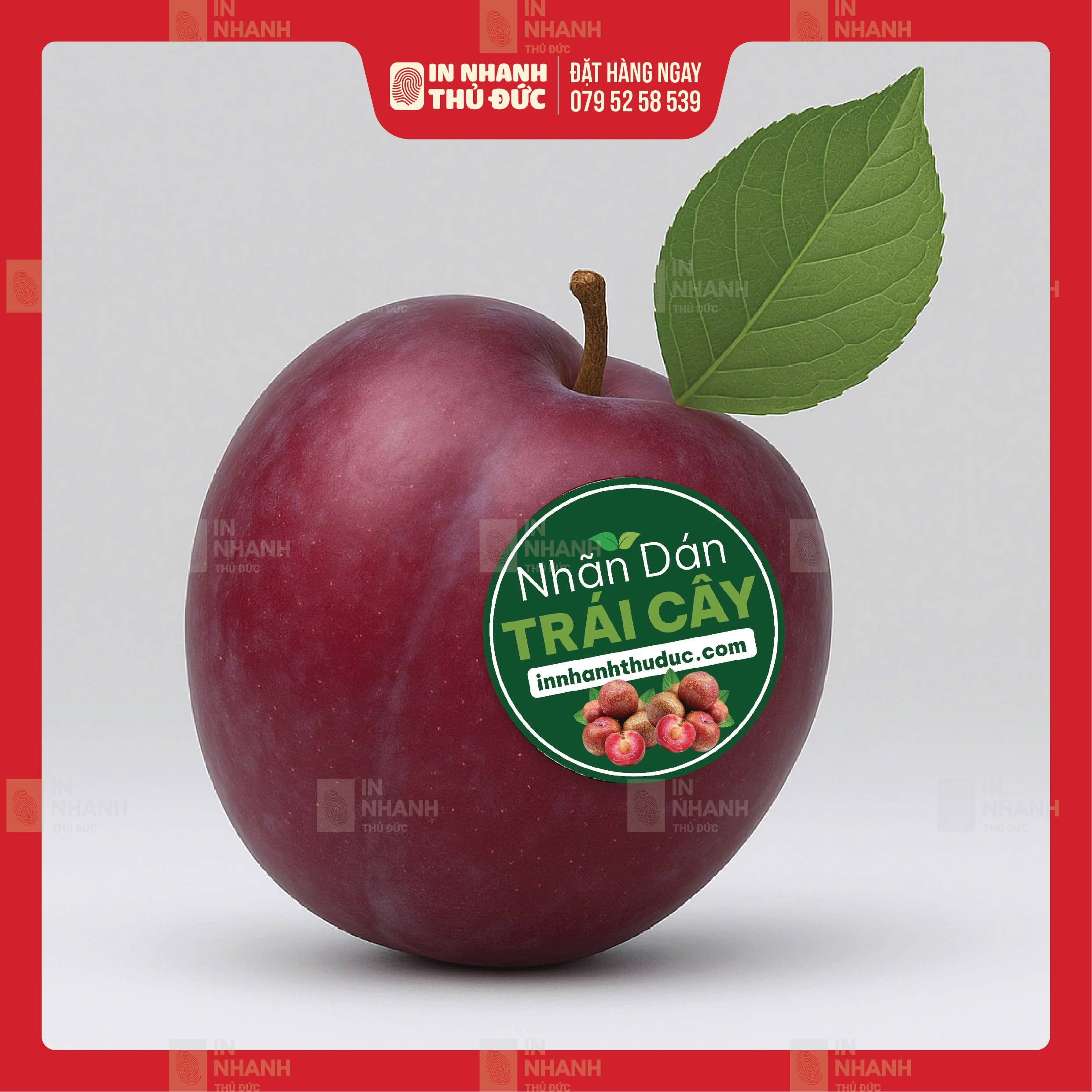 In Tem Nhãn - In Nhanh Thủ Đức