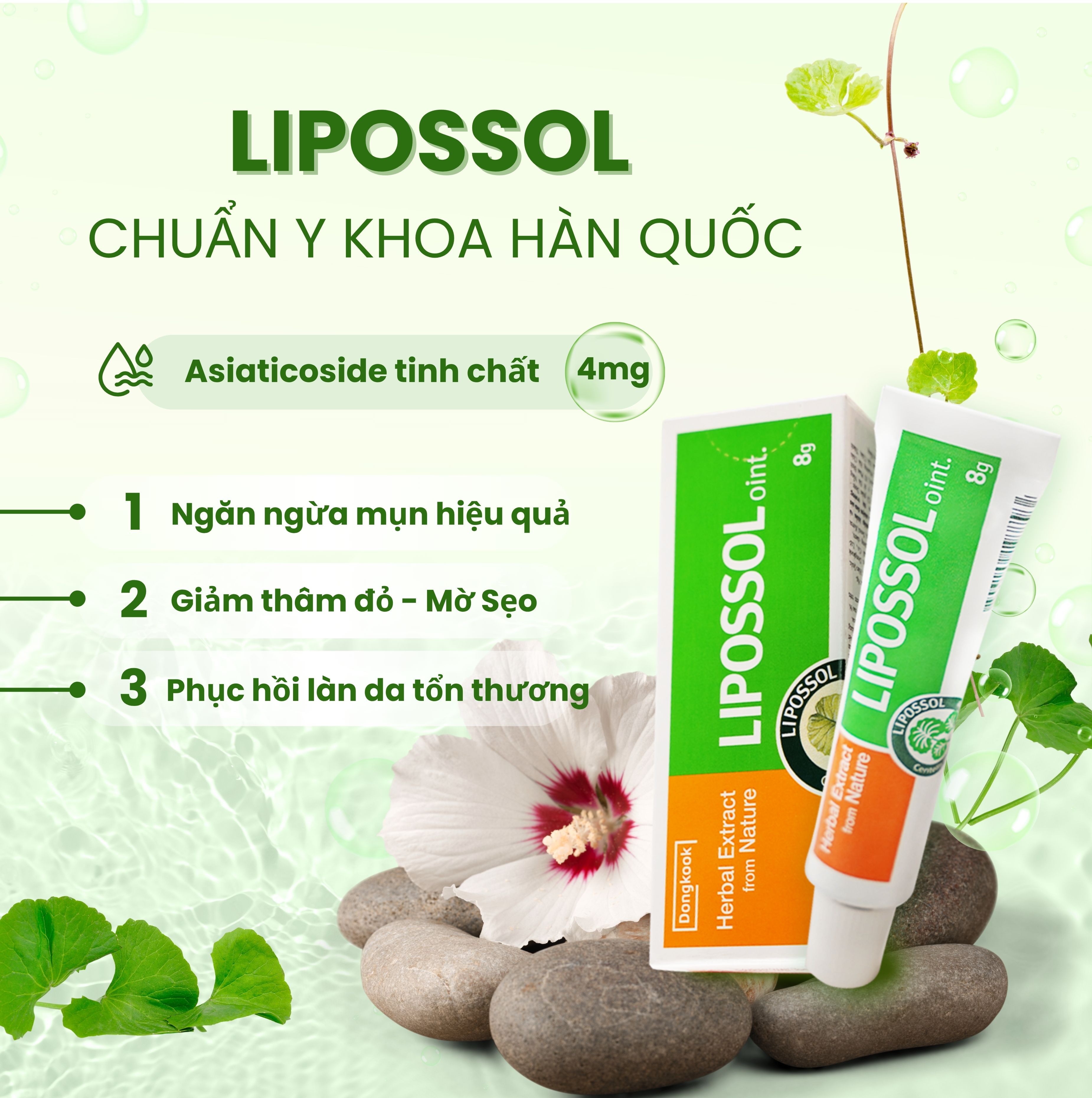 Lipossol Gel