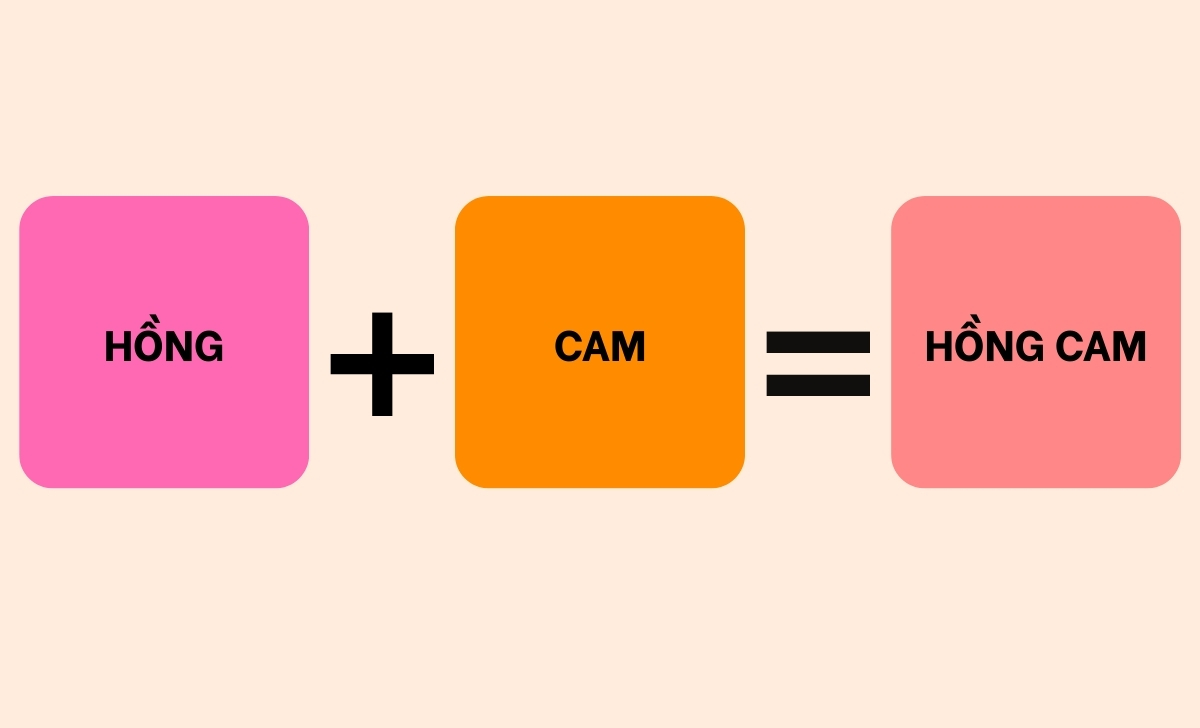 hồng cam ra màu hồng cam