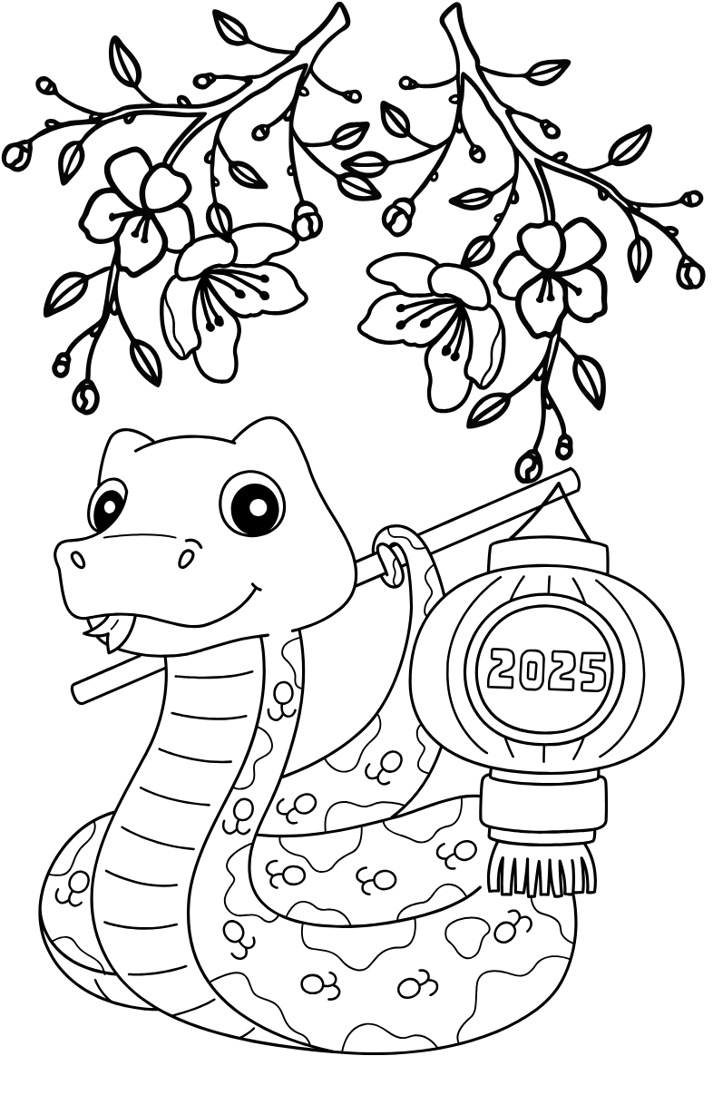 Tranh Tô Màu Hoa Mai Cho Bé 6-8 Tuổi ảnh 3