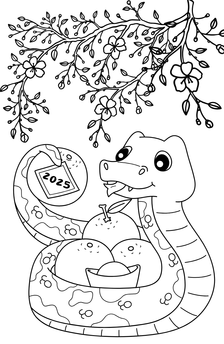 Tranh Tô Màu Hoa Mai Cho Bé 6-8 Tuổi ảnh 5