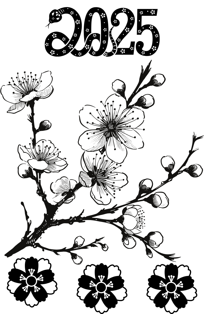 Tranh Tô Màu Hoa Mai Cho Bé 6-8 Tuổi ảnh 8