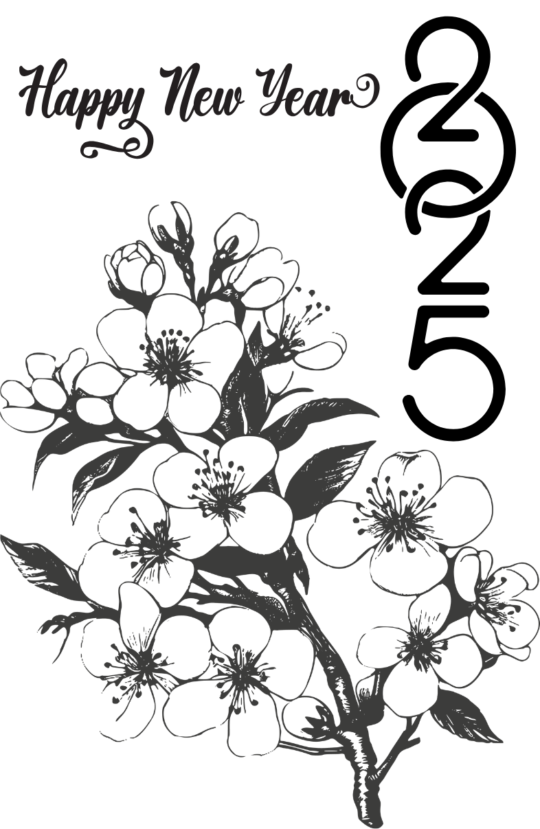 Tranh Tô Màu Hoa Mai Cho Bé 6-8 Tuổi