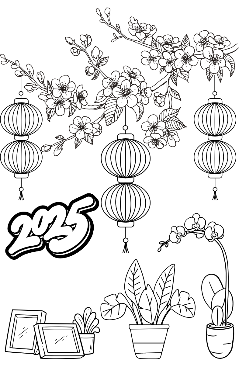 Tranh Tô Màu Hoa Mai Cho Bé 9-12 Tuổi ảnh 1