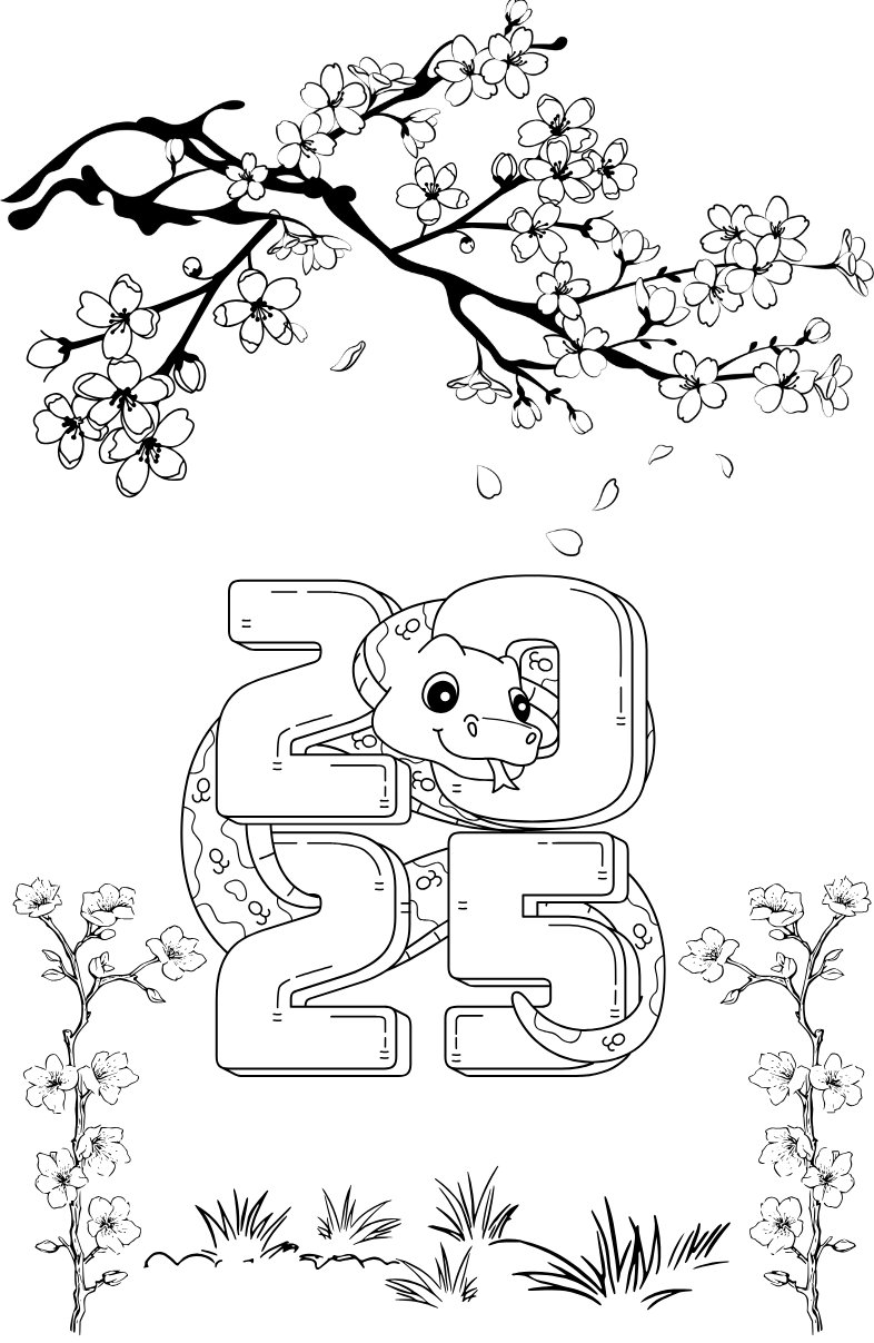 Tranh Tô Màu Hoa Mai Cho Bé 9-12 Tuổi ảnh 2