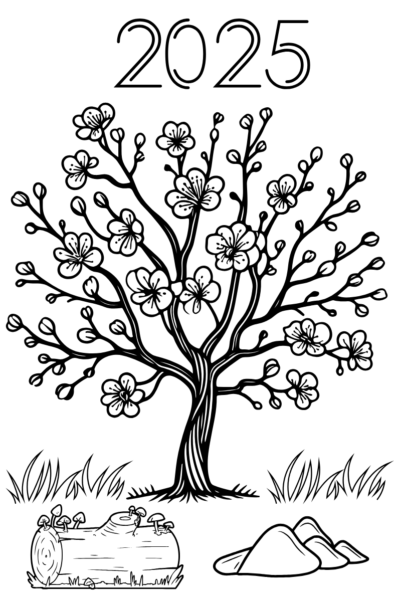 Tranh Tô Màu Hoa Mai Cho Bé 9-12 Tuổi ảnh 4