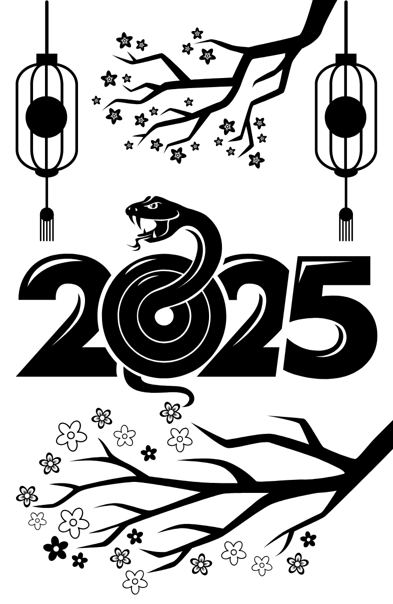 Tranh Tô Màu Hoa Mai Cho Bé 9-12 Tuổi ảnh 7