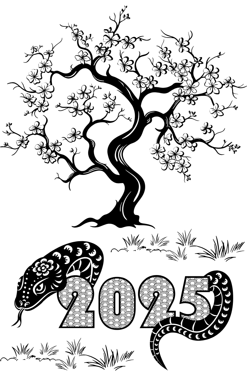 Tranh Tô Màu Hoa Mai Cho Bé 9-12 Tuổi