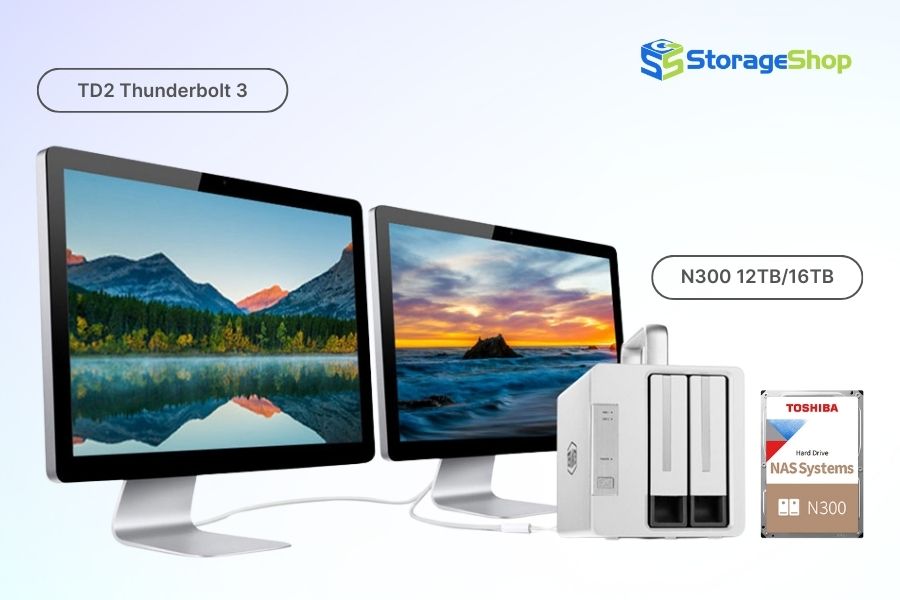 combo das terramaster td2 thunderbolt 3 kèm ổ cứng toshiba n300