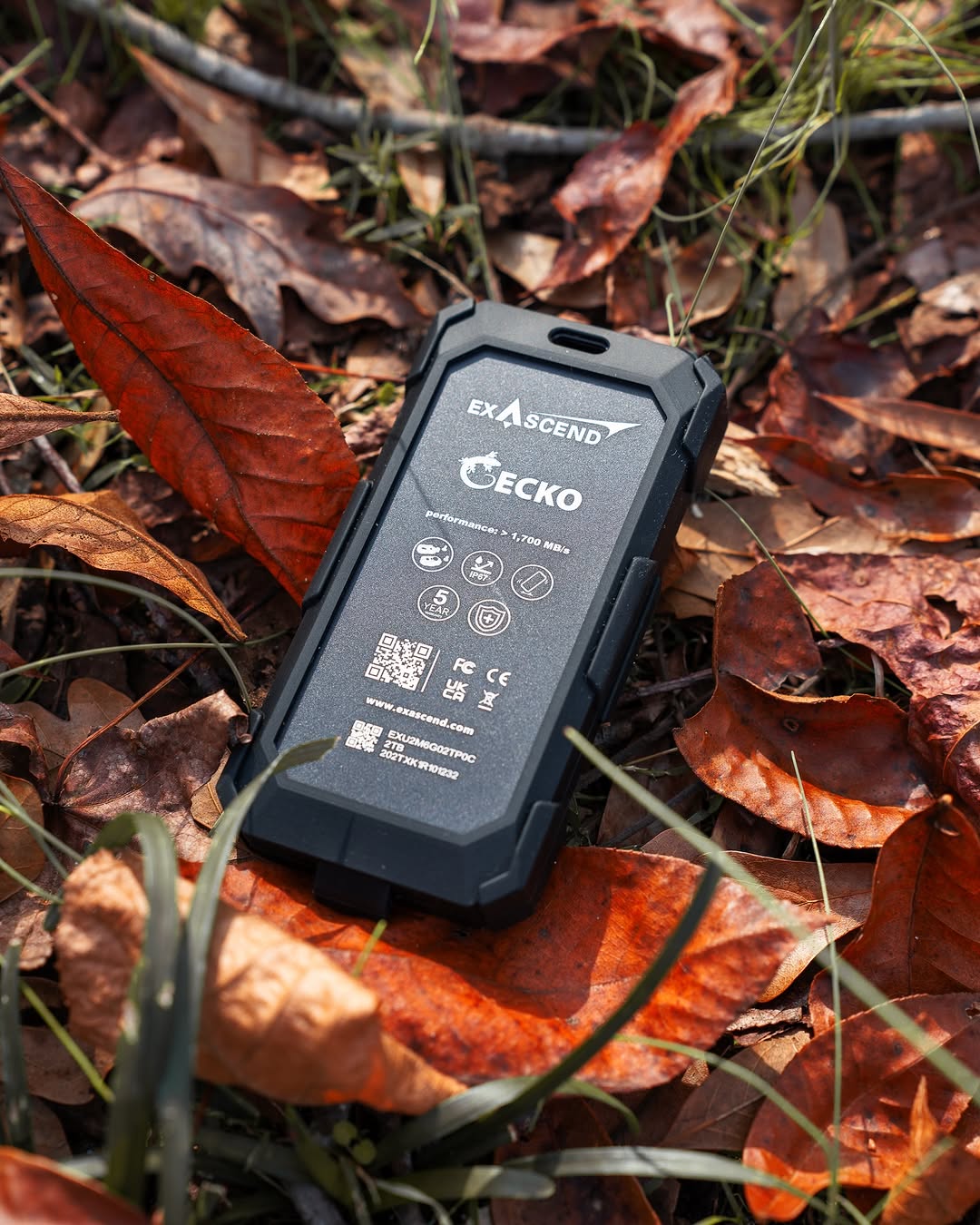 ổ cứng di động ssd exascend gecko