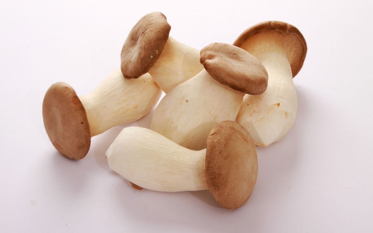 10 Món Chay Từ Nấm Đùi Gà Ngon, Dễ Làm Cho Bữa Cơm Thanh Đạm