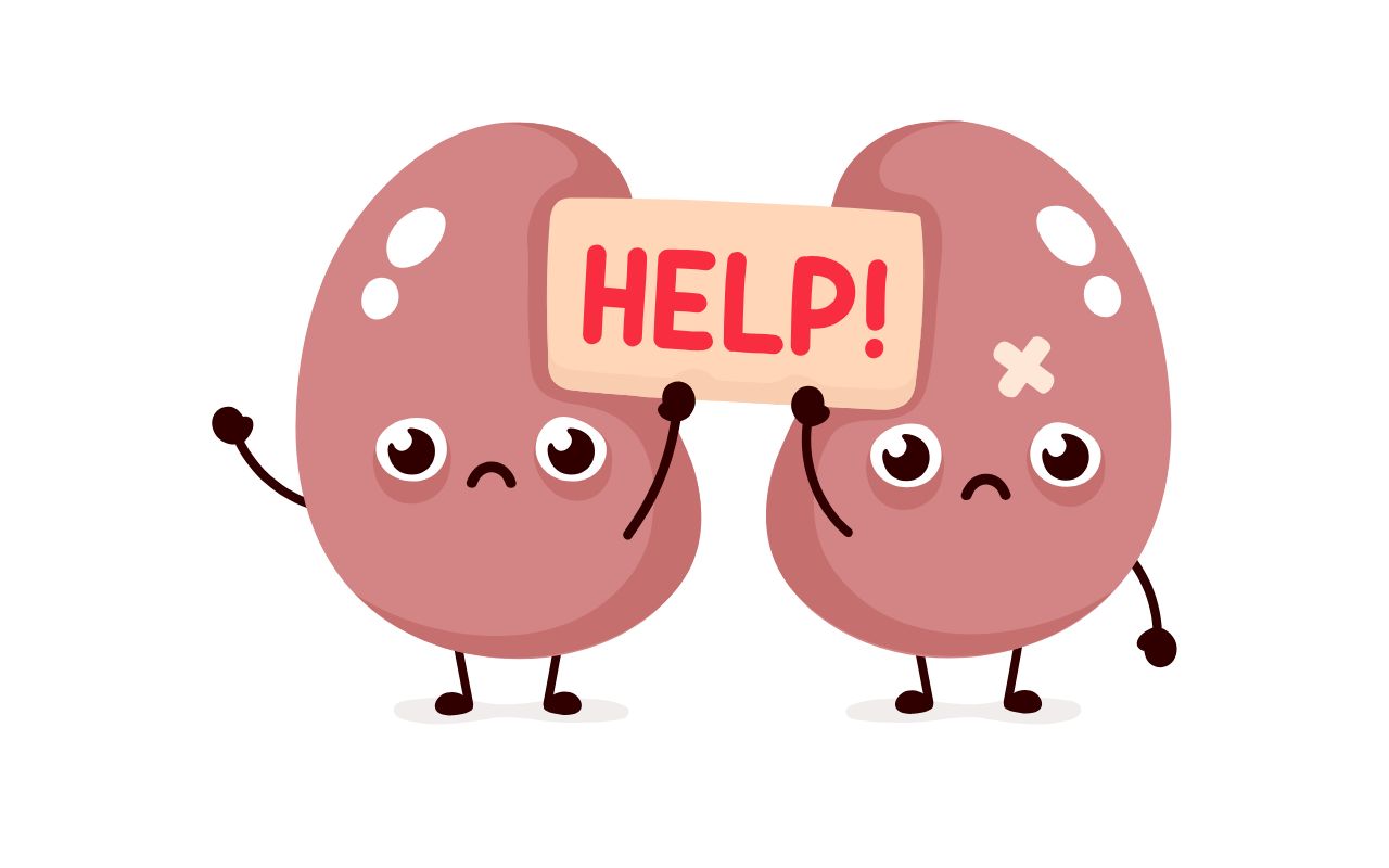 Suy Thận Mạn Tính Nên Ăn Gì? Thực Đơn Giảm Tải Thận 2025