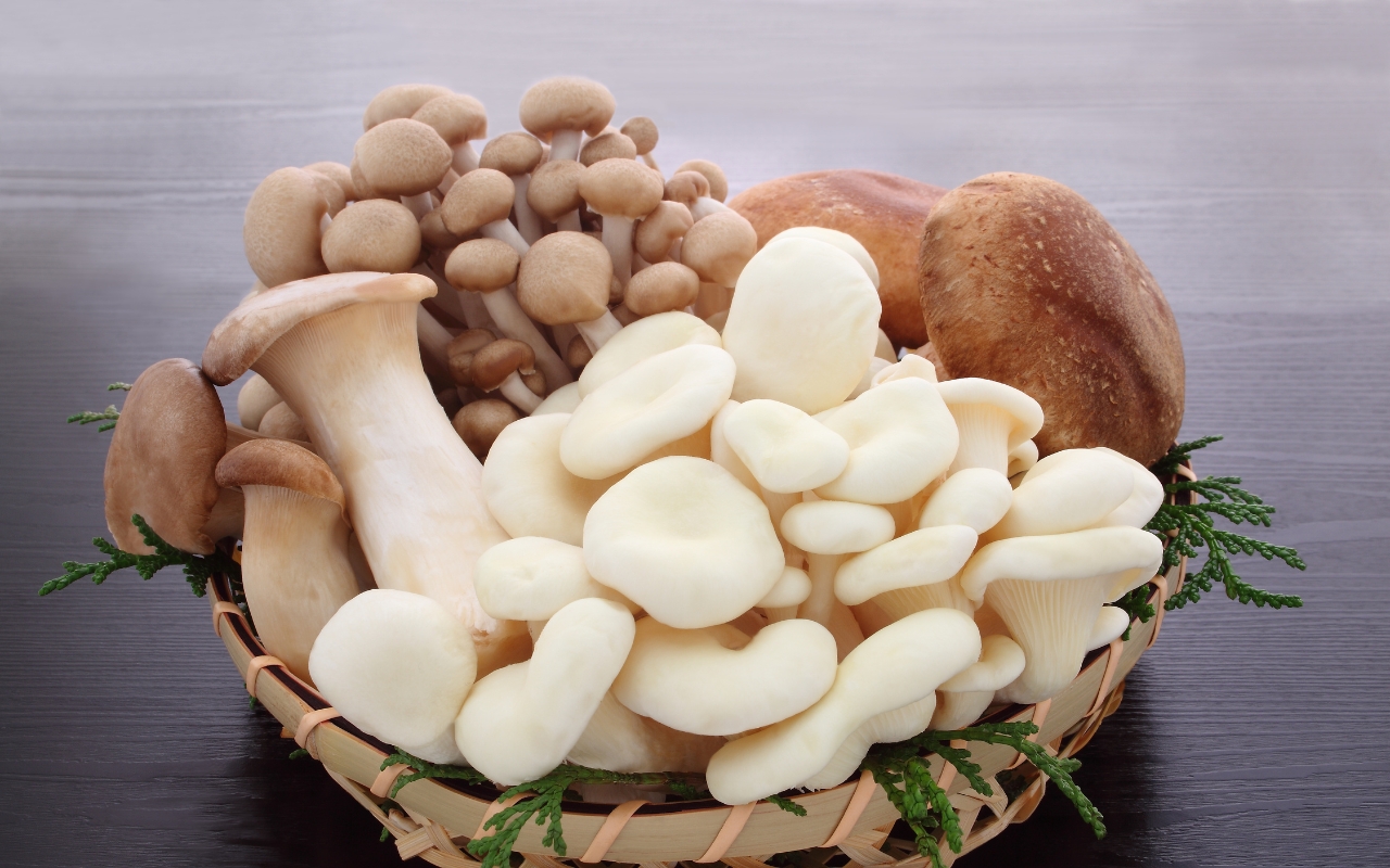 Chế Biến Món Chay Đơn Giản: Các Món Chay Ngon Cho Bữa Cơm Hằng Ngày