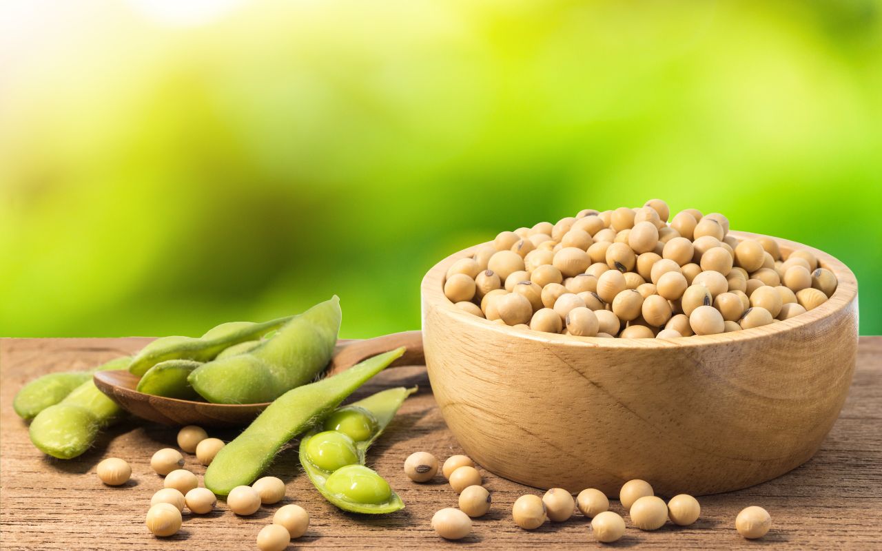 Cách Làm Nước Tương Chay Ngon – Bí Quyết Tạo Hương Vị Chay Thơm Lừng