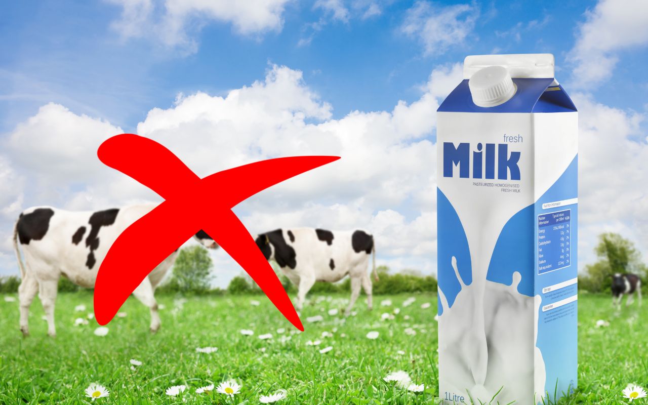 Nước ăn chay trường là gì? Các loại nước phù hợp với chế độ chay