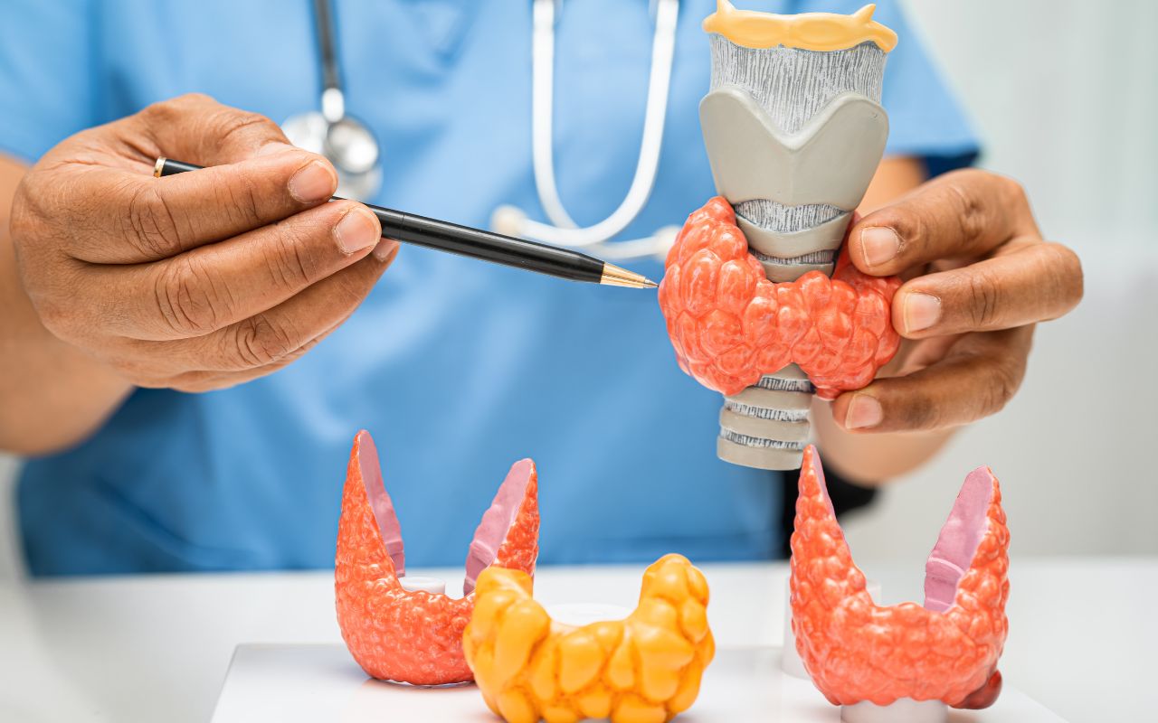 Bệnh Tuyến Giáp ở Nam Giới: Những Dấu Hiệu Thường Bị Bỏ Qua