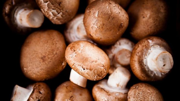 Nấm Đông Cô Bao Nhiêu Calo? Giá Trị Dinh Dưỡng Bạn Cần Biết