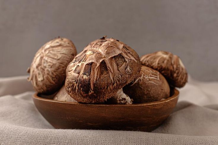 Nấm Đông Cô Tươi Nấu Gì Ngon? Gợi Ý Món Ăn Hấp Dẫn Từ Nấm Đông Cô