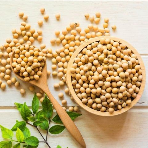 Ăn chay trường nên ăn những gì? Danh sách thực phẩm quan trọng