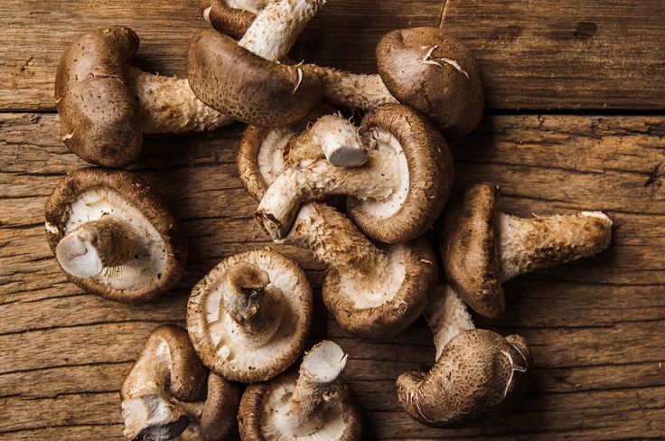 Nấm Đông Cô Sấy – Lợi Ích Và Cách Chế Biến Hiệu Quả