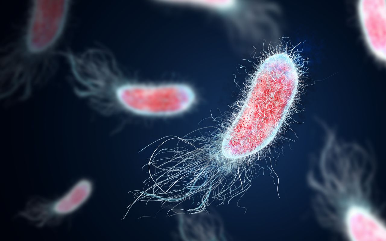 Nhiễm Trùng Vi Khuẩn Nên Ăn Gì? Hỗ Trợ Điều Trị Hiệu Quả