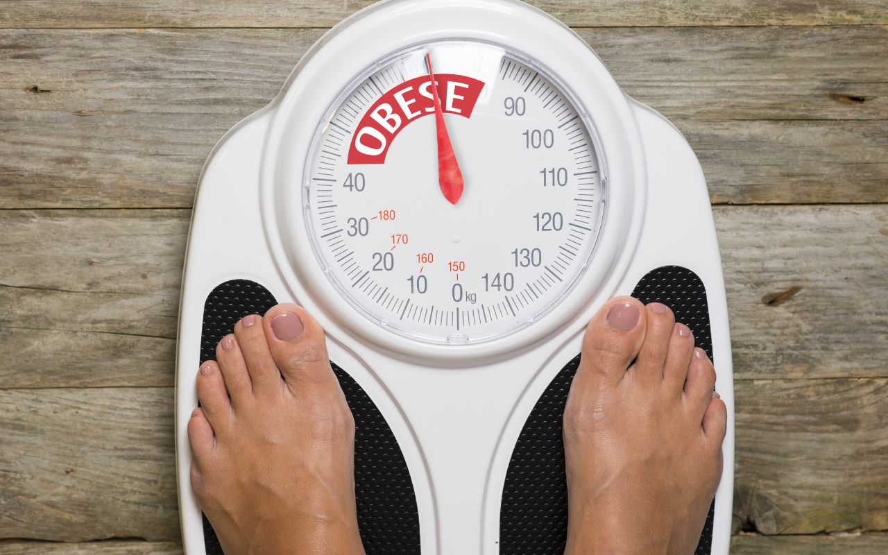 Thừa Cân Béo Phì Nên Ăn Gì? Thực Đơn Giảm Cân Lành Mạnh
