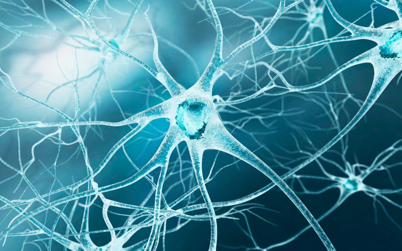 Viêm Dây Thần Kinh Nên Ăn Gì? Thực Đơn Giảm Viêm