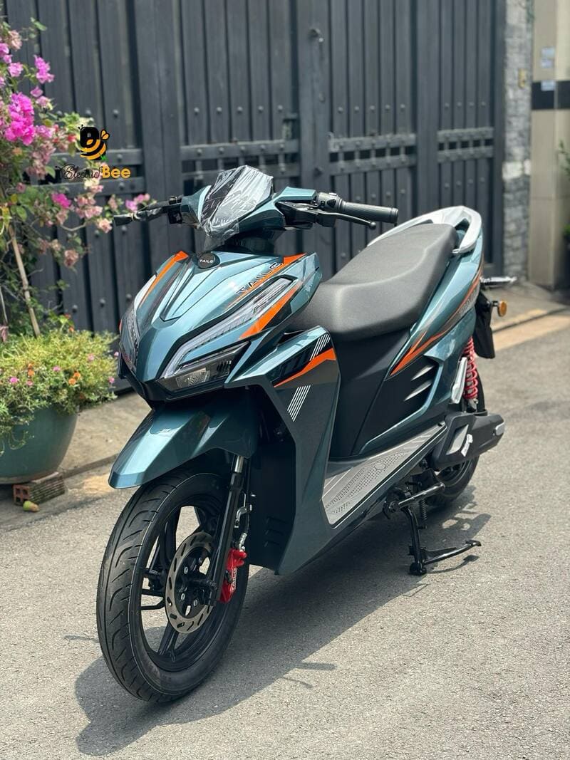 Xe Điện VARIO TAILG T71