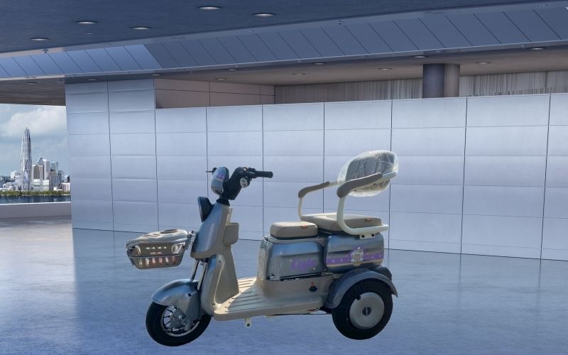 Xe 3 bánh Haibao F2