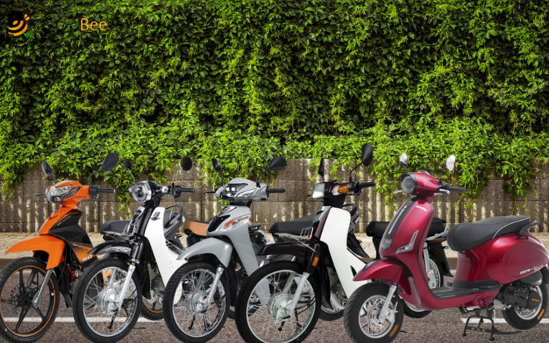 Top 5 mẫu xe 50cc tiêu hao ít nhiên liệu phổ biến nhất hiện nay