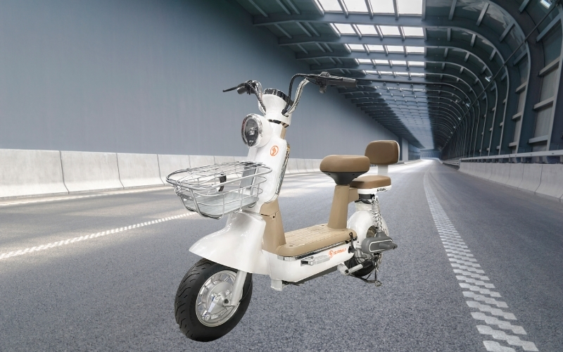 Xe đạp điện DK BIKE là thương hiệu Việt với thiết kế chắc chắn