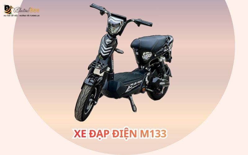 Xe đạp điện M133
