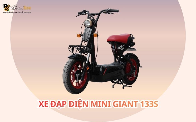 Xe đạp điện Mini Giant 133S
