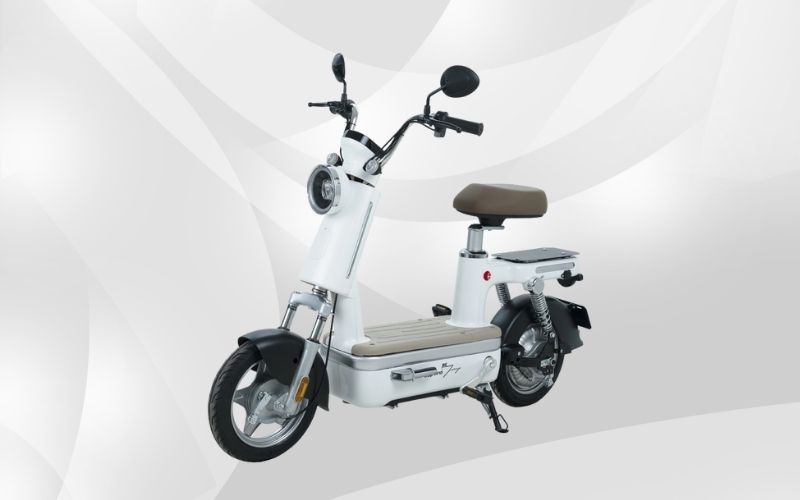 Xe đạp điện là gì