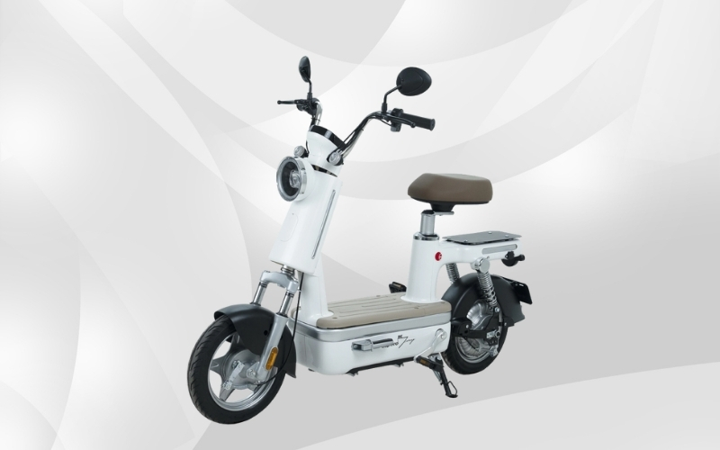 Xe đạp điện Detech