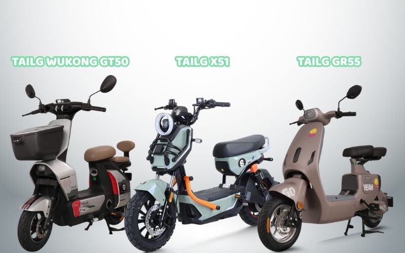 Các sản phẩm xe đạp điện TAILG phổ biến