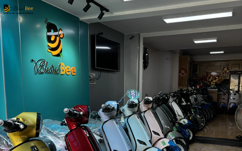 Mua xe ga 50cc chính hãng tại Electric Bee