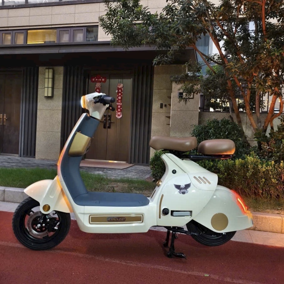 XE ĐẠP ĐIỆN Z3