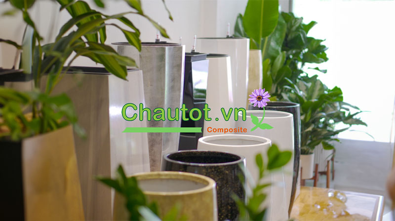 Chậu composite cao cấp là gì?