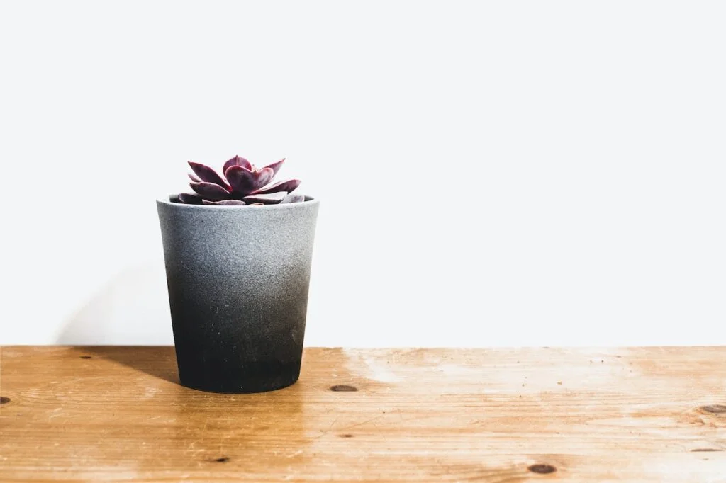 Composite sợi carbon có làm chậu cảnh được không?