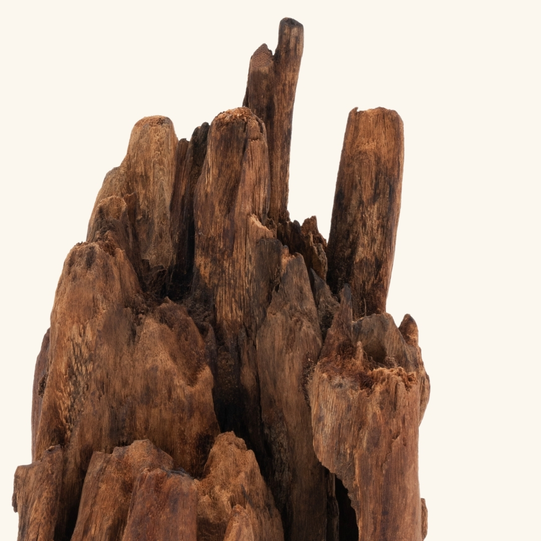 Tượng Rục Vàng Phước Sơn - 024